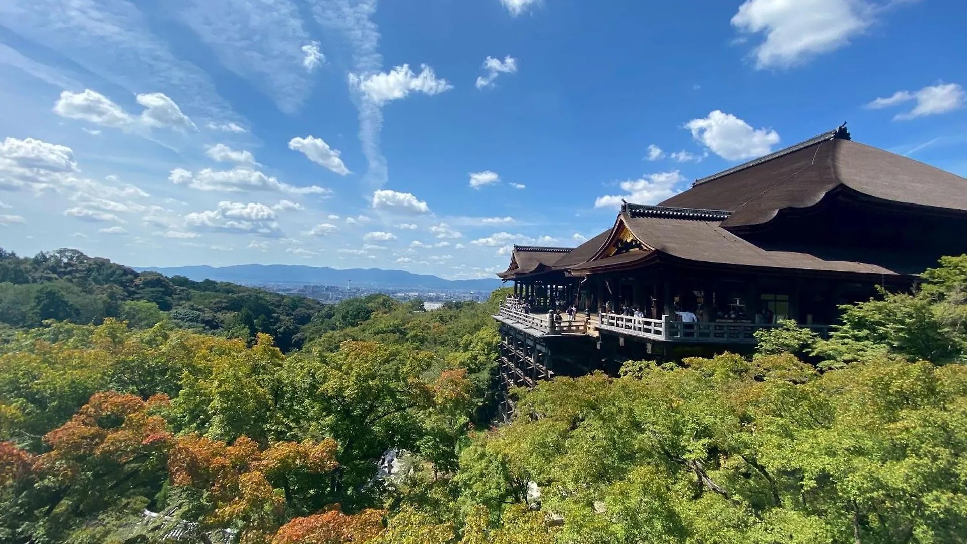 Lejlighed 211Gblhouse,難波,道頓堀,黒門市場など主要観光地へすぐの好立地usjへもすぐ!駅から1分のおしゃれなお部屋! Osaka